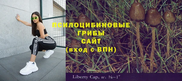 ПСИЛОЦИБИНОВЫЕ ГРИБЫ Беломорск