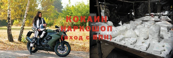 ПСИЛОЦИБИНОВЫЕ ГРИБЫ Беломорск